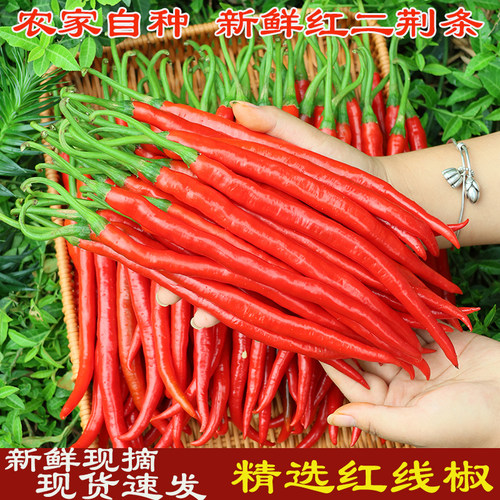 现摘红线椒新鲜5斤农家