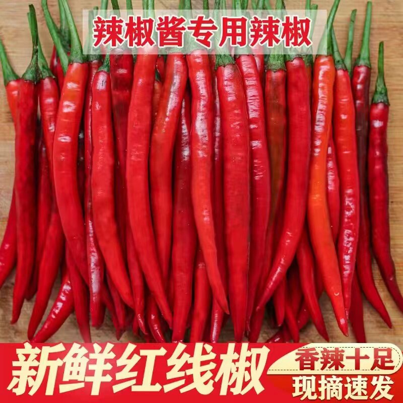 现摘新鲜红二荆条红线椒红辣椒农家自种泡椒剁椒包邮红辣椒