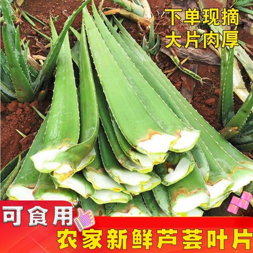 美国库拉索食用美容芦荟补水护肤