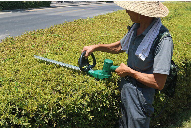 2019绿篱机电动茶叶剪单手专用修枝机篱笆剪12v充电割草机清明。在类目 鲜花速递/花卉仿真/绿植园艺, 园艺用品, 割草机/草坪机中 - 来自Buy2taobao.com提供专业的淘宝代购服务