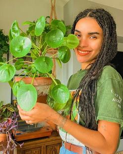网红镜面草老桩盆栽庭院阳台办公室绿植花卉观叶植物趣味美观