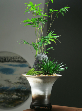 竹子专用花盆陶瓷家用客厅流泉枫侘寂风复古禅意喇叭高级透气托盘