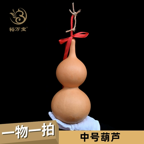 Длинная молодая лотосная голова средней тыквы, одна картина, одна картина, съемка текста, игра в тыкв