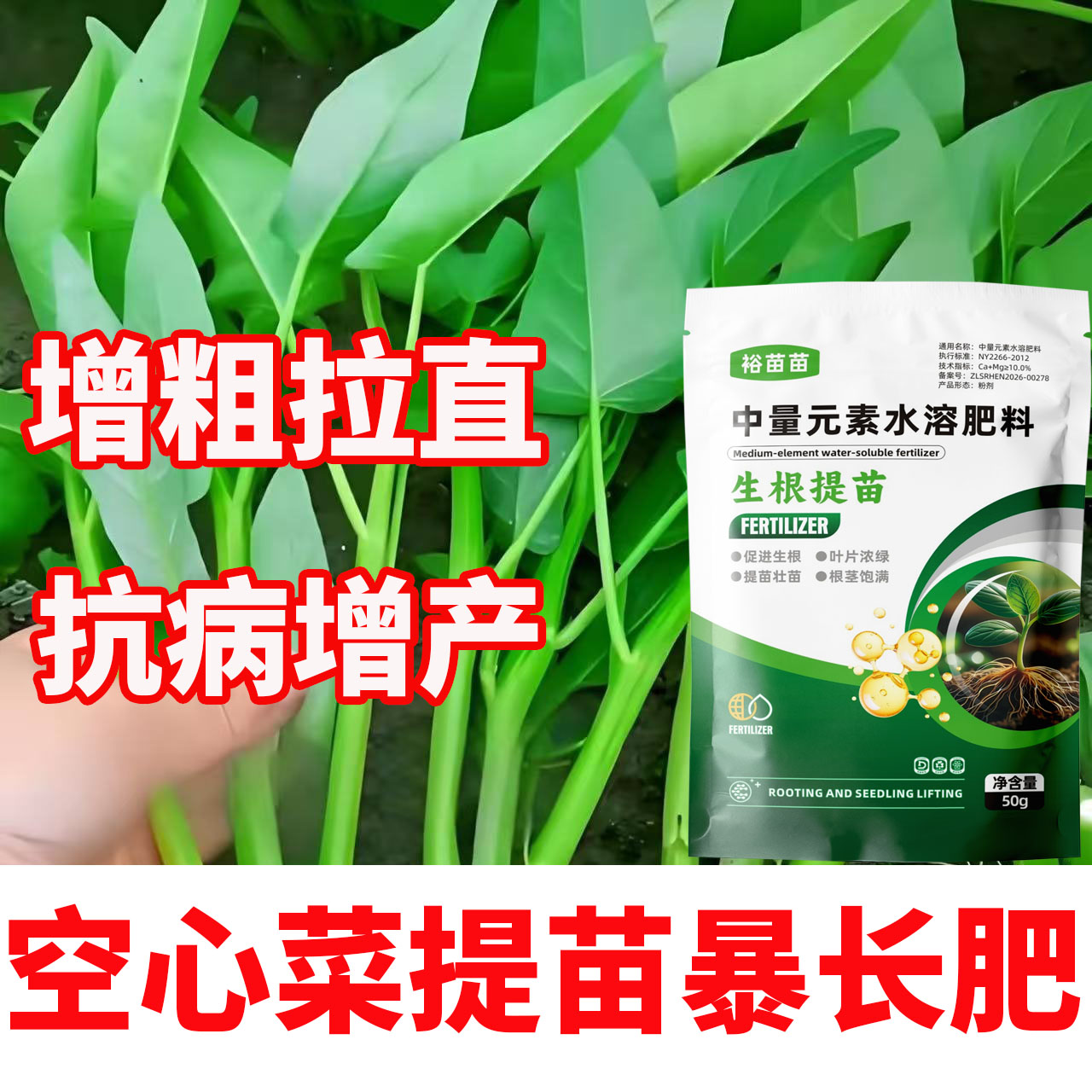 空心菜专用肥抗倒抗病猛长
