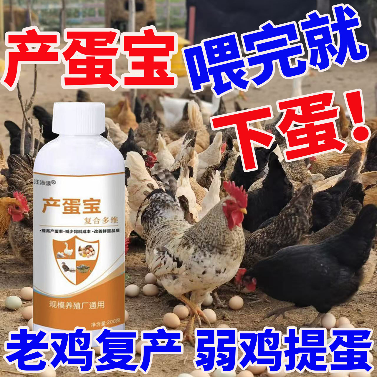 蛋多多禽用蛋宝延长产蛋提质