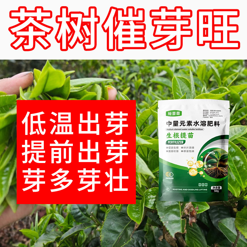 茶树专用肥生根壮苗芽增产