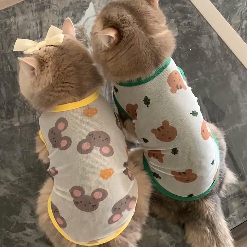 猫咪夏天衣服防掉毛薄款幼猫小猫布偶猫金银渐层蓝猫夏季透气背心