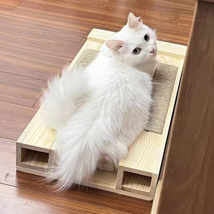 实木配猫架防侧躺猫咪宠物矮脚猫配种公借配木架踏板工具配猫神器