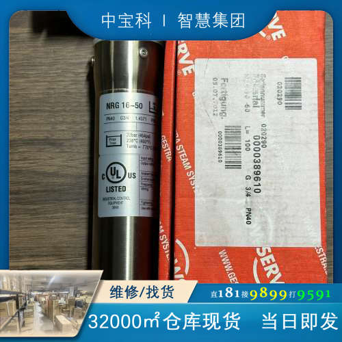 GESTRA NRG 16-50，液位传感器，全新未使用原厂