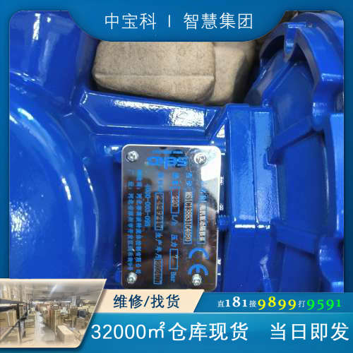 MS1C138B31C4080  220L 意大利赛高计量泵