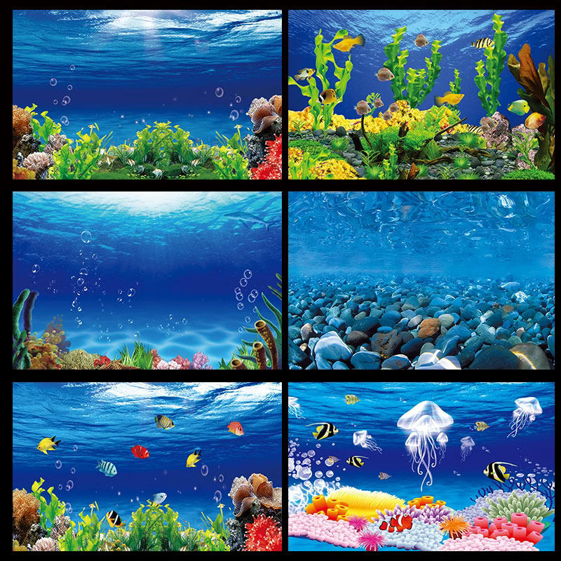 鱼缸背景纸画高清图3d立体壁纸风海底世界海洋世界系列装饰底板5D