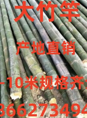 竹竿3米4米5米6米长粗大毛竹竹竿子杆子N工地用搭架毛竹杆竹子