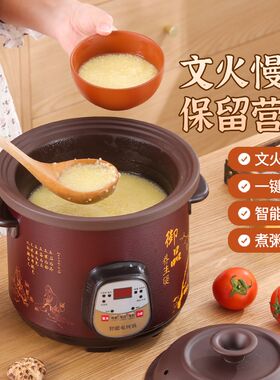 电炖锅电煮炖炖煮盅炖电炖盅y隔水熬粥锅煲粥煮粥锅砂锅陶瓷用电