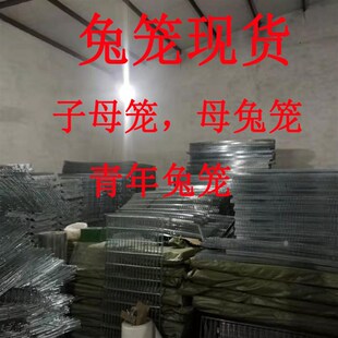 兔笼自动清粪f养殖笼兔场子母超大免清粪产仔24位养殖兔笼养殖场