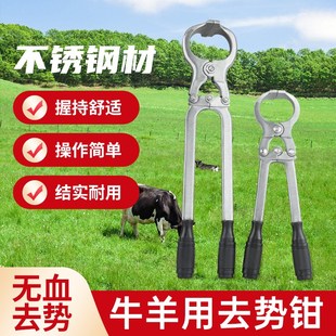 兽用去势钳牛羊用阉割钳子不锈钢无血去势钳结扎工具夹蛋煽羊钳子