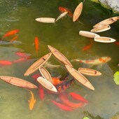 饰 饰装 小木船实木下水款 可漂浮乌篷船渔船模型摆件鱼池鱼缸造景装