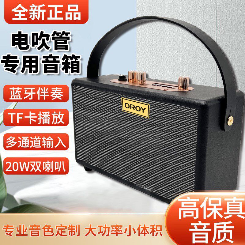 电吹管小音箱专业级乐器多功能音箱20瓦功率双喇叭大音响蓝牙音响