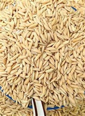 10斤带壳稻谷谷子水稻稻子粮食B杂粮大米喂鸡鸭鹅鸽鸟仓鼠宠物饲