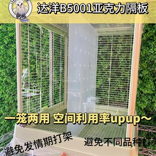 达洋B5001隔板鸟笼亚克力隔板鸟笼中间隔板达洋鸟笼隔板定制挡板