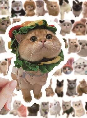 60 Pcs Kawaii Cat Stickers Aesthetic Stationary Cute Sticker