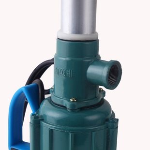 电动抽油泵油桶泵柴油食用油家用220v 新品 大功率150w单相手提式