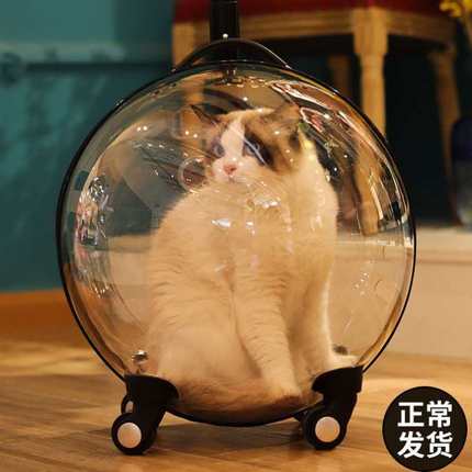 透明外出外出拉杆箱猫咪包宠物大容量可携式手提猫包太空舱用宠物