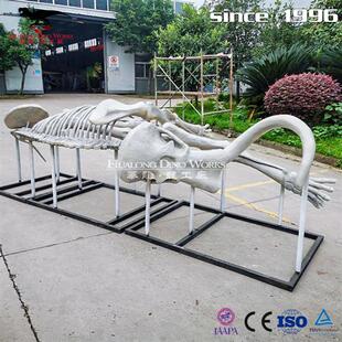 仿真恐龙化石骨架玻璃钢树脂材质博物馆科技馆研学参观展览