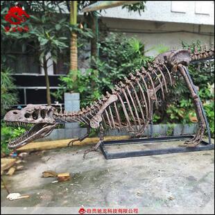 恐龙仿真骨架霸王龙牛龙化石模型大型动物骨骼标本定做厂家