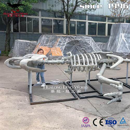 玻璃钢霸王龙化石骨架树脂混合材质商场中庭美陈自贡恐龙厂家