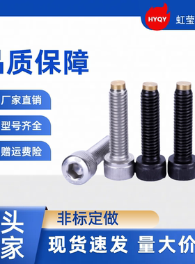 带挡块螺钉TDB11-M4-L10/15/20 TDB11-M5-L15/20/30 TDB11-M5-L20