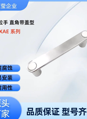 XAE93 XAE91-L100  铝合金方形拉手  直角带盖型 PUGCW PUGCS-100