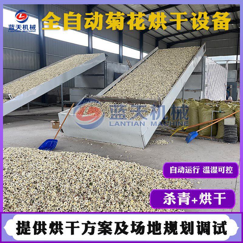 菊花烘干机 大型金丝皇菊贡菊甜叶菊干燥机 网带野菊花茶烘干设备
