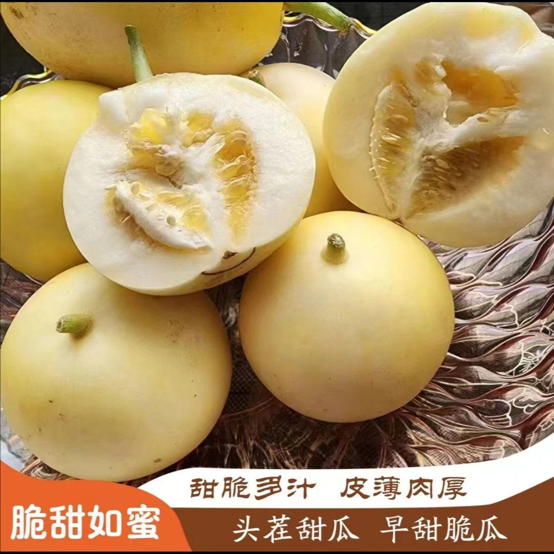 金乡早甜脆小蜜蜂蜜罐甜瓜脆瓜大黄冰糖脆水果冰糖子香瓜星甜包邮
