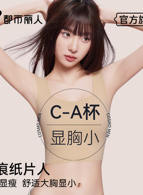 猫人粉底液内衣女薄款大胸显小