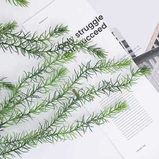 新款直销仿真藤条金鱼草壁挂仿真水草婚庆工程软装酒店橱窗家居装