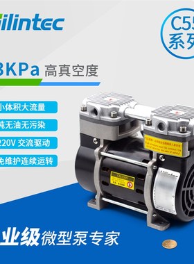 取样泵C55S微型k气泵 抽气打气真空泵 220V交流泵 高真空抽打泵