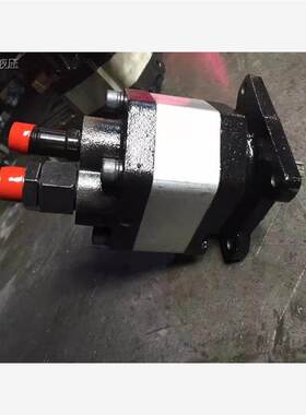 河北众德液压件厂齿轮泵CB-FC63 50E 花左后出进27出271.5油泵