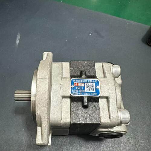 天津岛津液压 iH15F2H5-R093DH 液压齿轮油泵全新发货