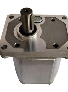 Bodean齿轮泵BAP2B15D25C2L10-B/D20C2L10-B/D28C2L10-B/D30C2L10