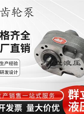液压齿轮泵CB-B10/B4/B6/B16/B20/B25/B32/B40/V50/63液压油泵