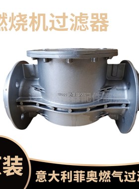 意大利菲奥FMFh10607F FMF10608F FMF10609F天然气过滤器