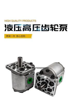 液压高压齿轮泵eCBN-F532 CBN-F563 CBN-F525 CBN-F580 CBN-F550