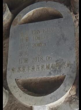 江苏农丰液压 CBN-E31D0 液压齿轮油泵全新发货