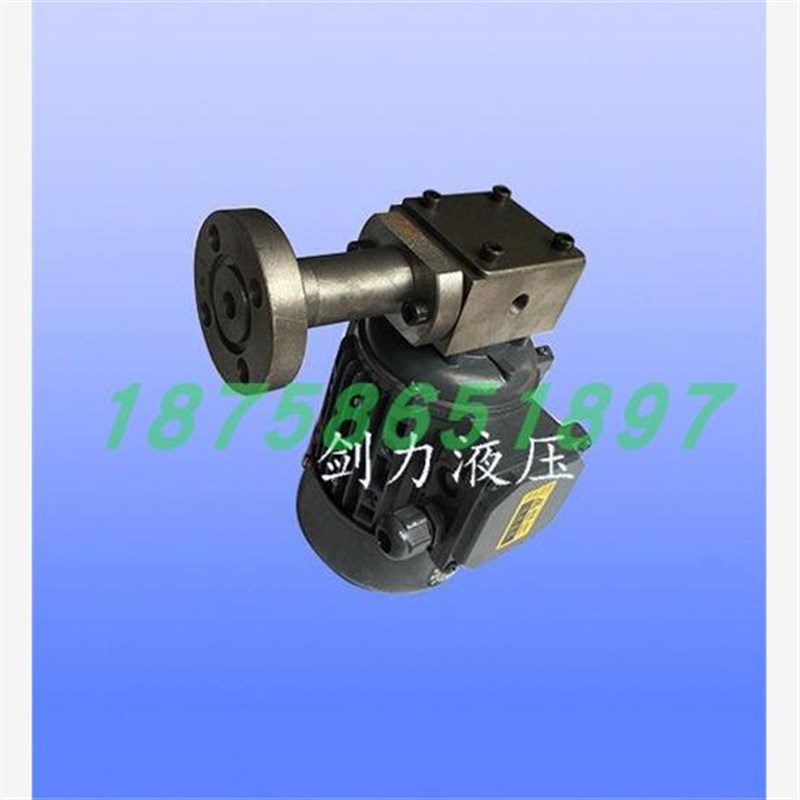 泰兴市剑力液压件厂 ZCB-1.2 转子式油泵电机装置 ZCB-X0.8/2.5