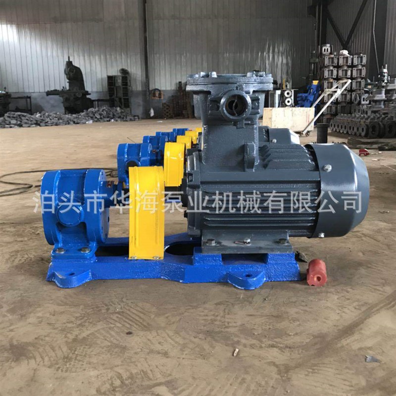 泵业直销2cyk7.5/25不锈钢齿轮泵 自吸泵 高压泵 双轮 直齿