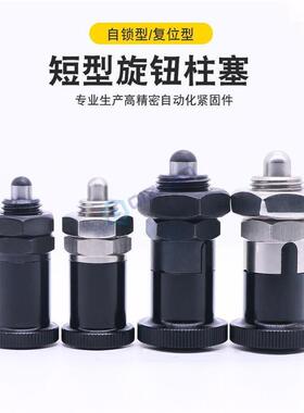 E-LPXSAN/LPXSKN柱塞C分度销PXSAN/PXSKN16PXRAN12PXRKN-LPXRAN