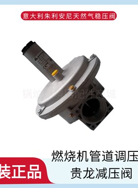 天然气调压器FfGDR40/FGDR50意大利FSDR65/FSDR80燃气稳压器