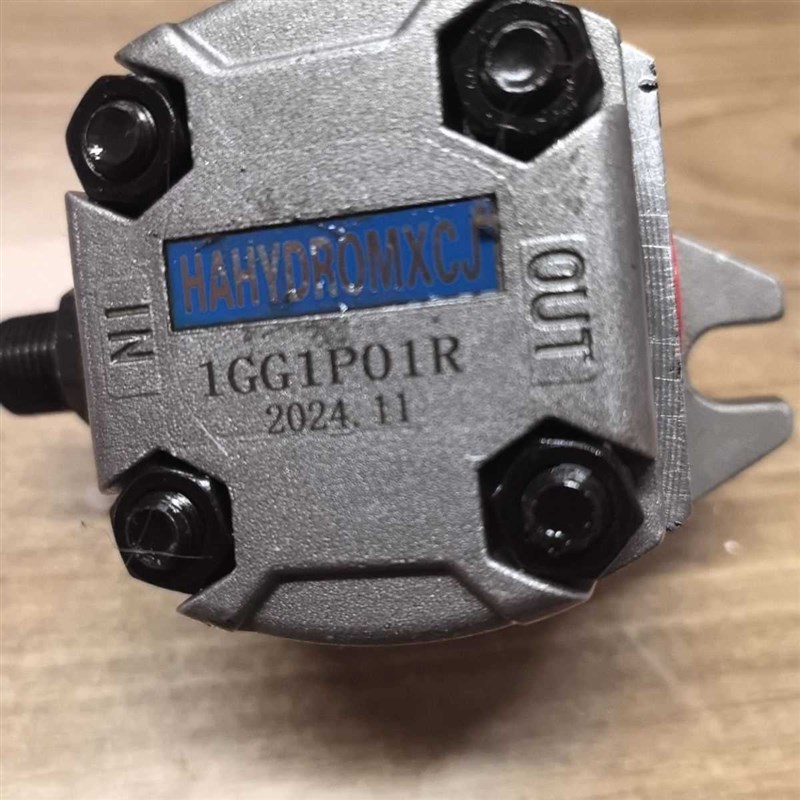 油泵1GG1P01RE液压高压HGPF1R