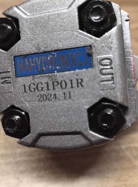 油泵1GG1P01RE液压高压HGPF1R