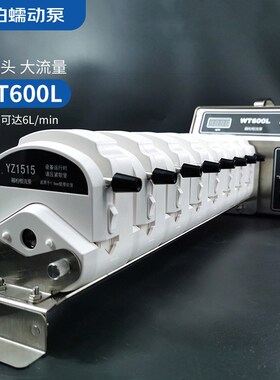 融柏WT600L多泵头串联蠕动泵工业移料定时J液体灌装泵单通道6L/mi